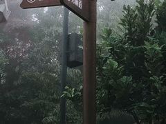 -梧桐山风景名胜区