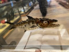 -drivepro(三里屯店)