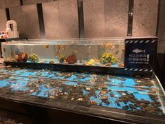 水产区-Mr·Fish鱼鲜生海鲜放题(银泰in99店)