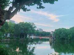 -雨湖公园
