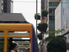-Big Bus Tours 敞篷观光巴士