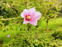 -西吴河科普公园