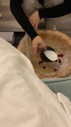 -奥斯芬欧系贵族SPA