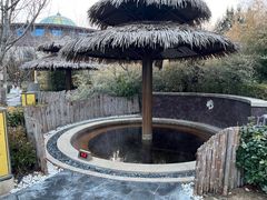 -大连金石滩绿发温泉假日酒店