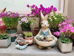 -后海16号·北京私房菜