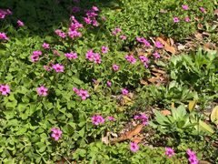 -南山风景名胜区