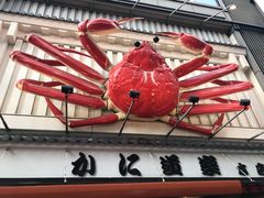 -蟹道乐(道顿堀本店)