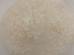 -广州医科大学附属中医医院(同德院区)