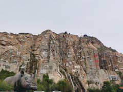 -西霞口神雕山野生动物世界