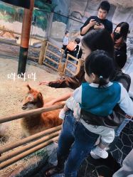 -Zoolung Zoolung动物主题公园(海信广场店)