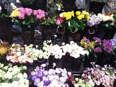 -ChaKo Flora ·茶子花艺 (市北店)