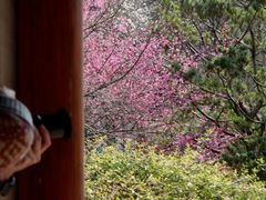 -杭州植物园