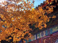-香山公园