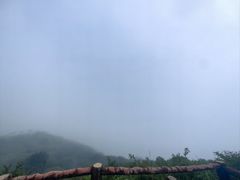 -大围山国家森林公园