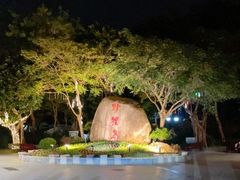 -野狸岛