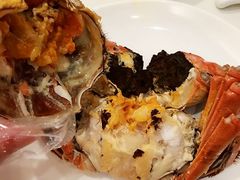 清蒸大閘蟹-沪江饭店(利舞台店)