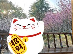 -无锡梅园公园