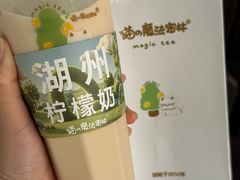 -猫的魔法密林(衣裳街店)