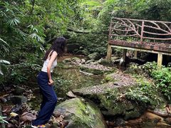 -海南热带雨林国家公园吊罗山景区
