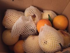 -回头客精品果业(西门店)