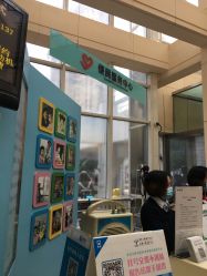 -上海交通大学医学院附属上海儿童医学中心(陆家嘴总院区)