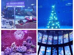 -上海海昌海洋公园