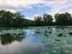 -长兴太湖图影湿地文化园