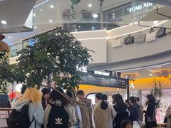 -野人先生Gelato(上海长宁龙之梦店)