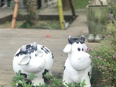 -艾米稻香小镇