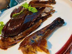 精品烤鸭-悦江(梅奔中心店)