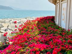 -三亚南山文化旅游区