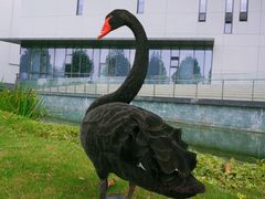 -南京医科大学(江宁校区)