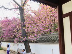 -正兴广场(人民中路店)