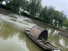 -大队长大灶鹅