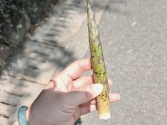 -苏州环秀晓筑养生度假村