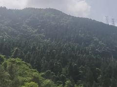 -杭州半山国家森林公园