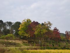 -黄陂区野村谷景区