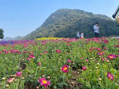 -广州市石门国家森林公园