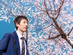 -长白岛森林公园