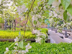 -北京希尔顿逸林酒店