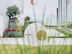 -龙坞茶村