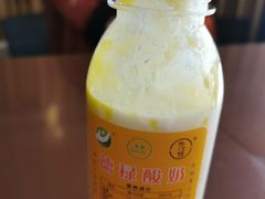 -德禄酸奶(莫家街店)