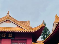 -深圳仙湖植物园