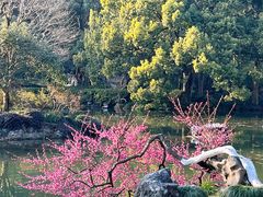 -杭州植物园