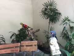 -吉隆坡雀鸟公园