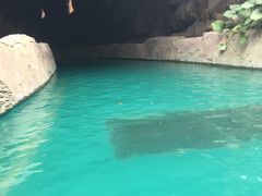 -亚马逊丛林水乐园