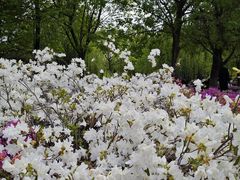 -羊亭河湿地公园