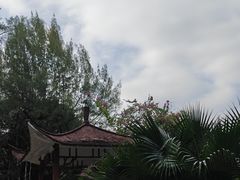 -晓港公园