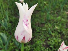 -长春公园(普阳街道)