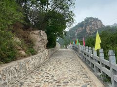 -大岭沟猕猴桃谷风景区